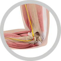 elbow