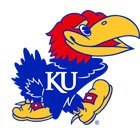 university-of-kansas-jayhawk